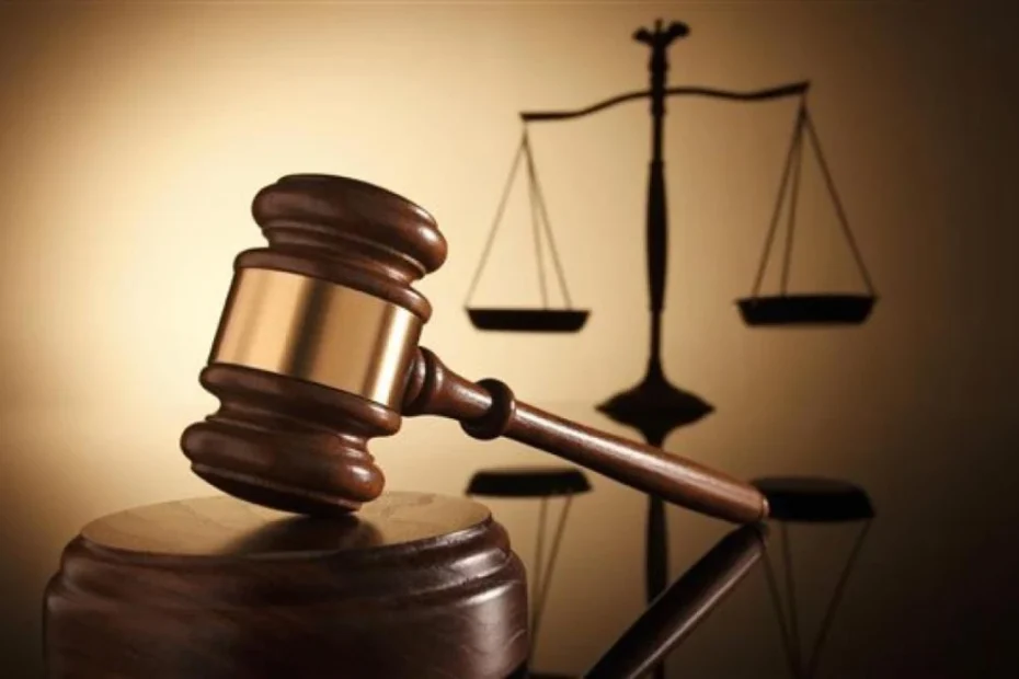 New York Court Case Exposes Judicial Harassment and Political Manipulation of Justice in Venezuela by High-Profile Chavista