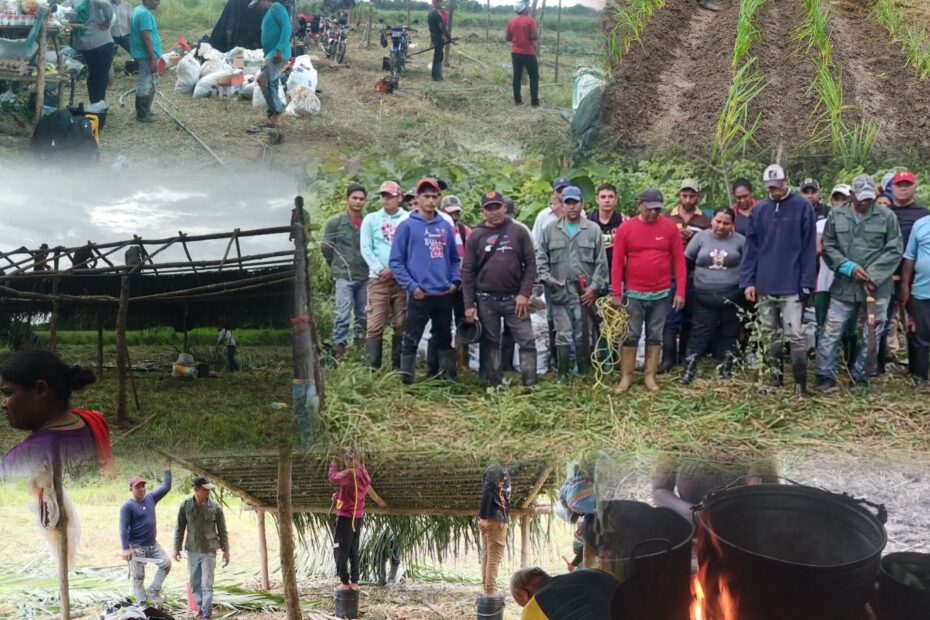 Judge Orders Preventive Detention for 28 Farmers Abducted by Paramilitary Group Amid Land Dispute