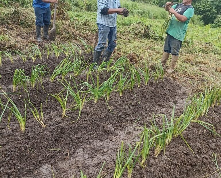 Paramilitary Abduction in Barinas Exposed as Civilian Operatives of Landlord Engage in Violence Against Farmers